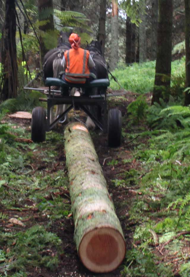 Te Huia Log Homes & Coastal Eco Estate Auckland New Zealand Draft